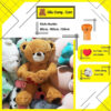 gau-bong-teddy-80cm-long-tho-nau-gy0002-ted-Thumbnail