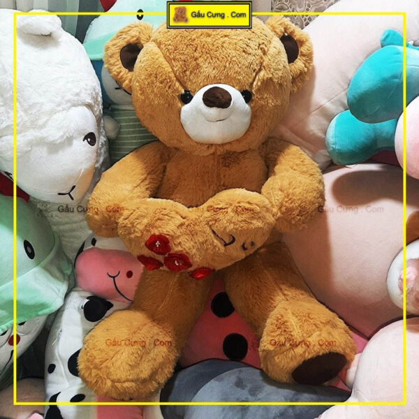 gau-bong-teddy-80cm-long-tho-nau-gy0002-ted-anh-thuc-te-1