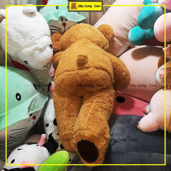 gau-bong-teddy-80cm-long-tho-nau-gy0002-ted-anh-thuc-te-2