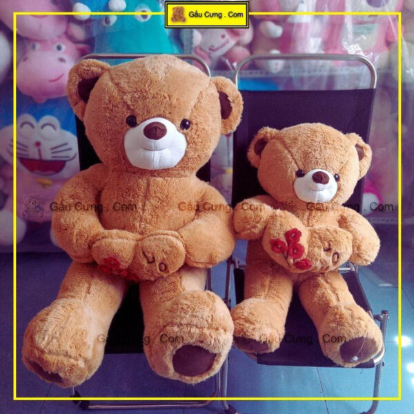 gau-bong-teddy-80cm-long-tho-nau-gy0002-ted-anh-thuc-te-4